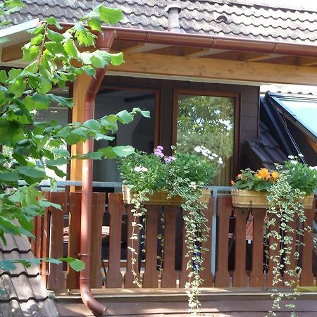 Apartmán Haus Schwalbennest Undeloh Exteriér fotografie